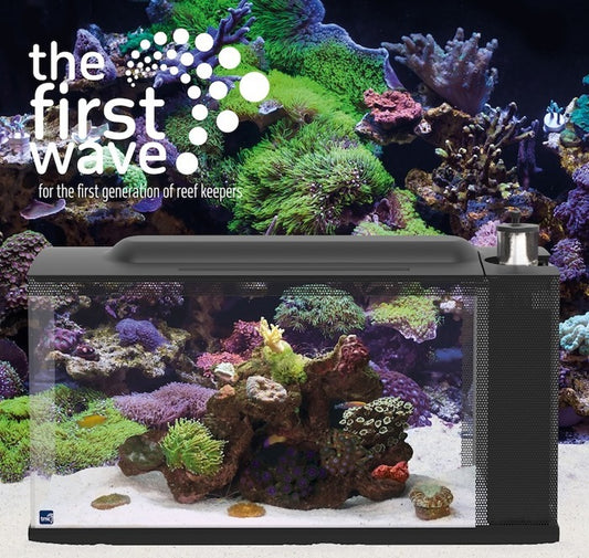 First Wave Aquarium Set 48 Litros Água Salgada