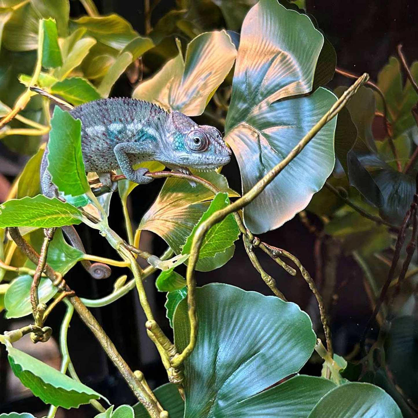 Planta Decorativa Branch Thick – 110 cm 🌿🦎