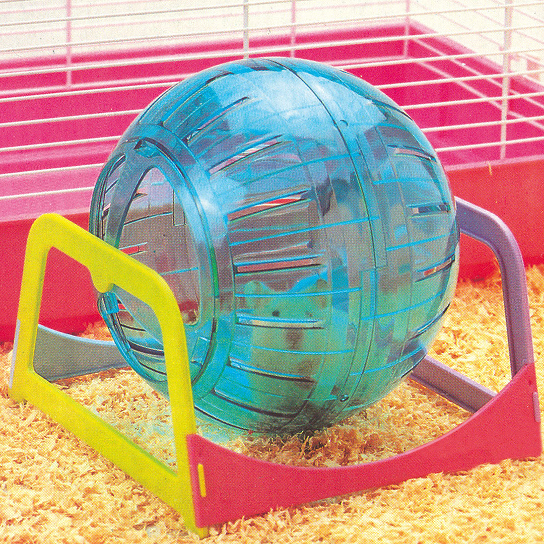 Bola de Exercício 3 em 1  🐭⚽