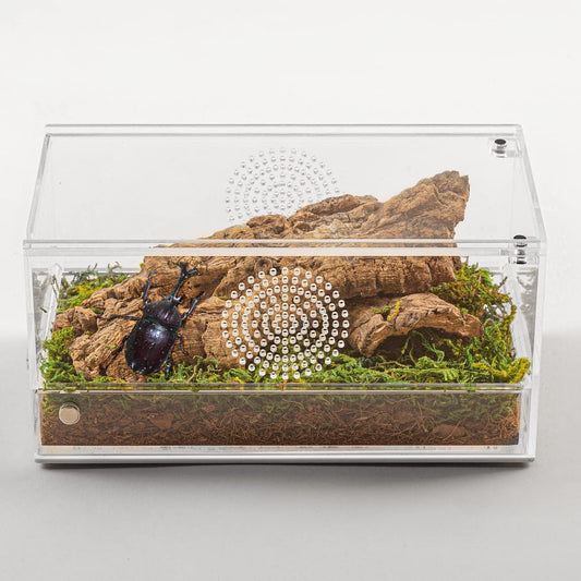 Terrário magnético de acrílico 🕷️