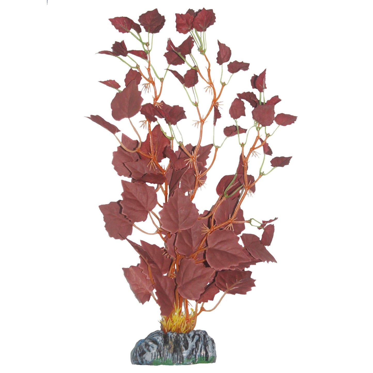 Planta decorativa