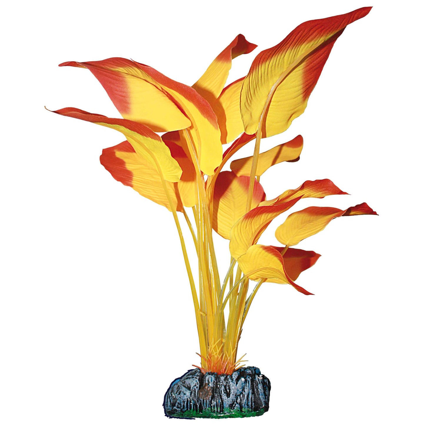 Planta decorativa