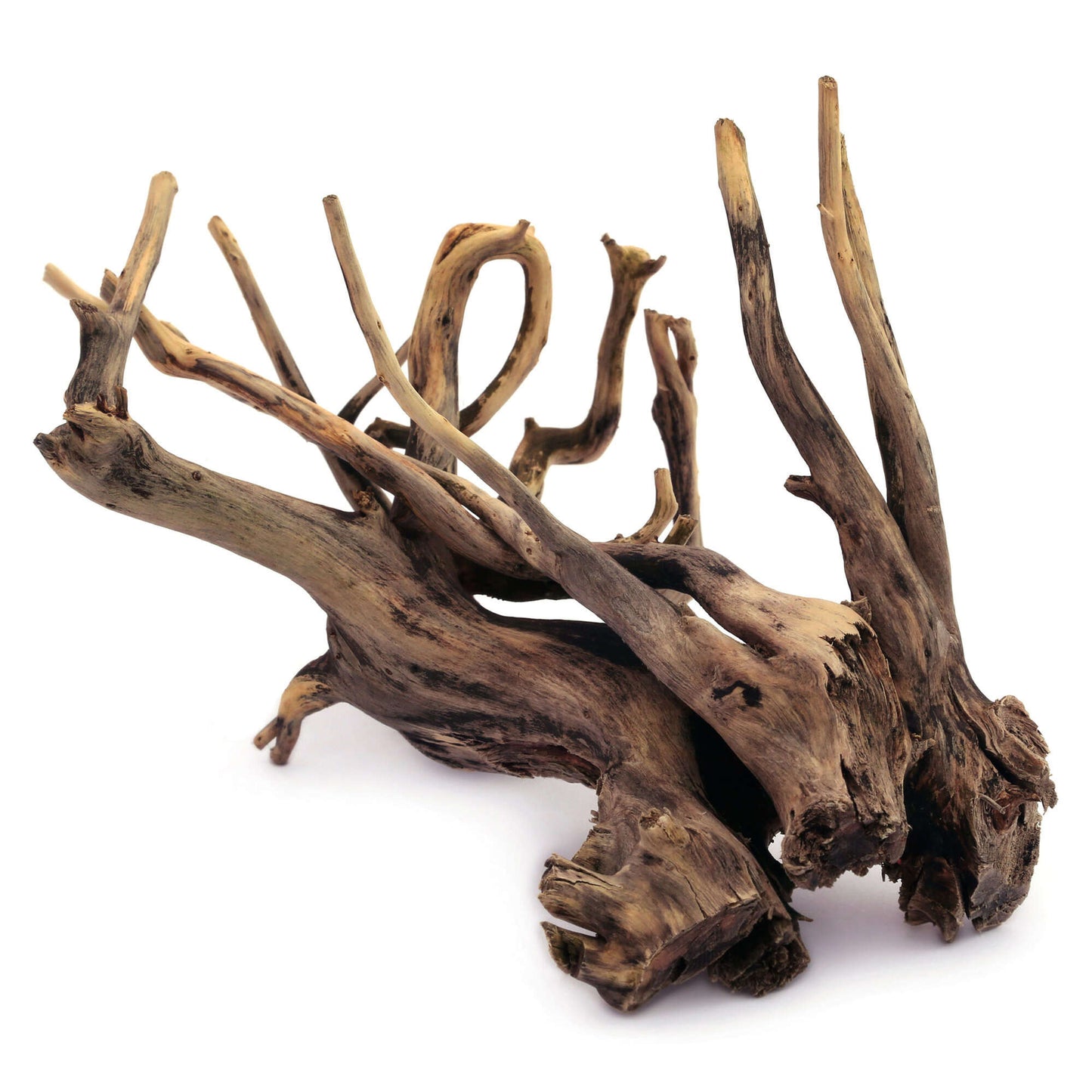 Raízes naturais de Black River