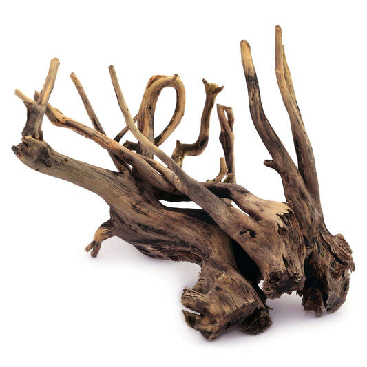 Raízes naturais de Black River