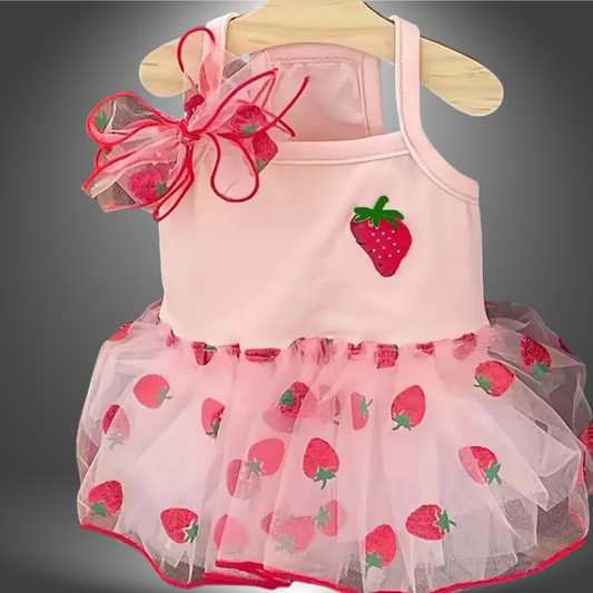 Vestido de Verão 🌼🐾