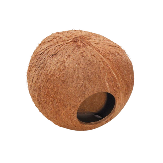 Casa Coconut  🥥