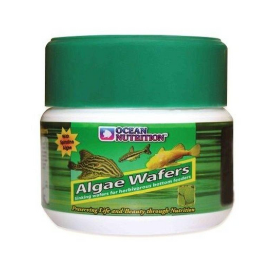 Algae Wafers – Algas – 75 g 🌿