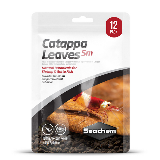 🍂 Folhas de Catappa – Pequenas