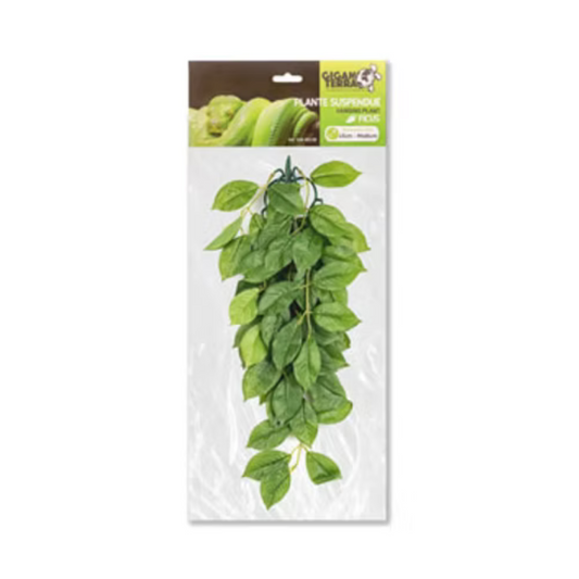Planta Suspensa