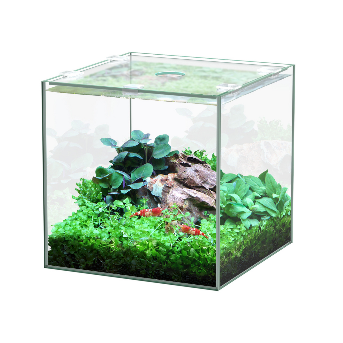 KUBUS 15L