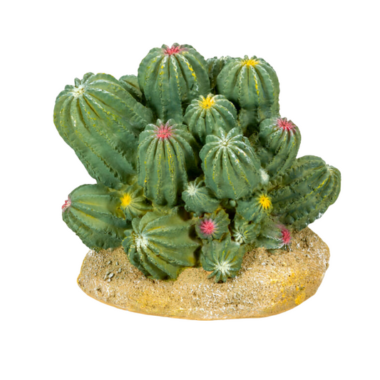 Cactus 2