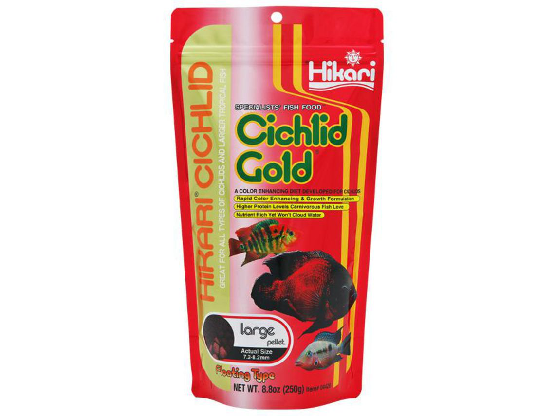 Hikari cichlid gold large