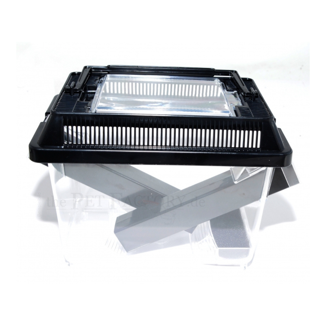 Caixa para Grilos 🦗