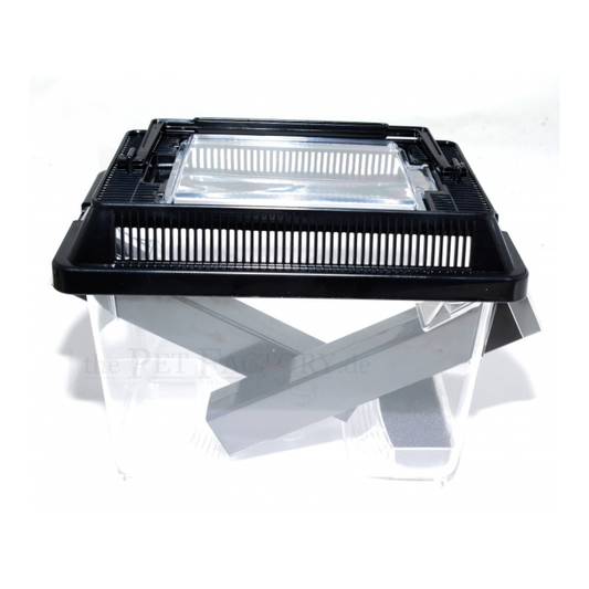 Caixa para Grilos 🦗