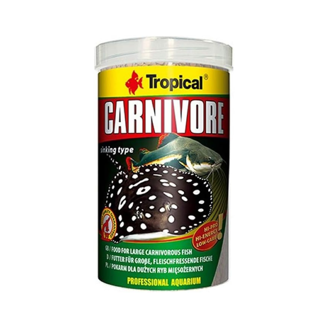 Tropical Carnivore