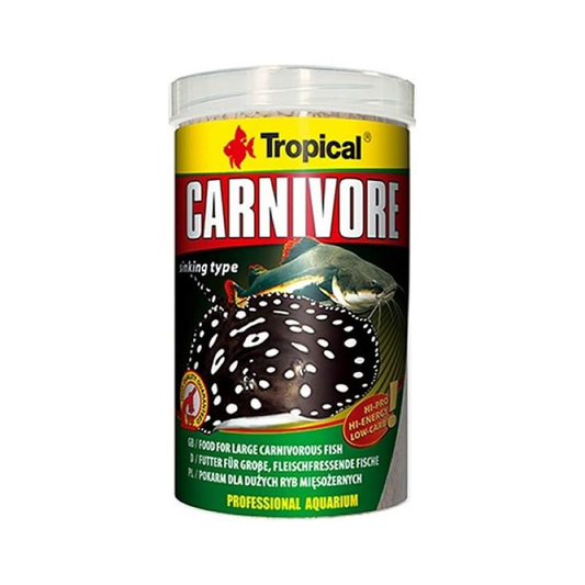 Tropical Carnivore