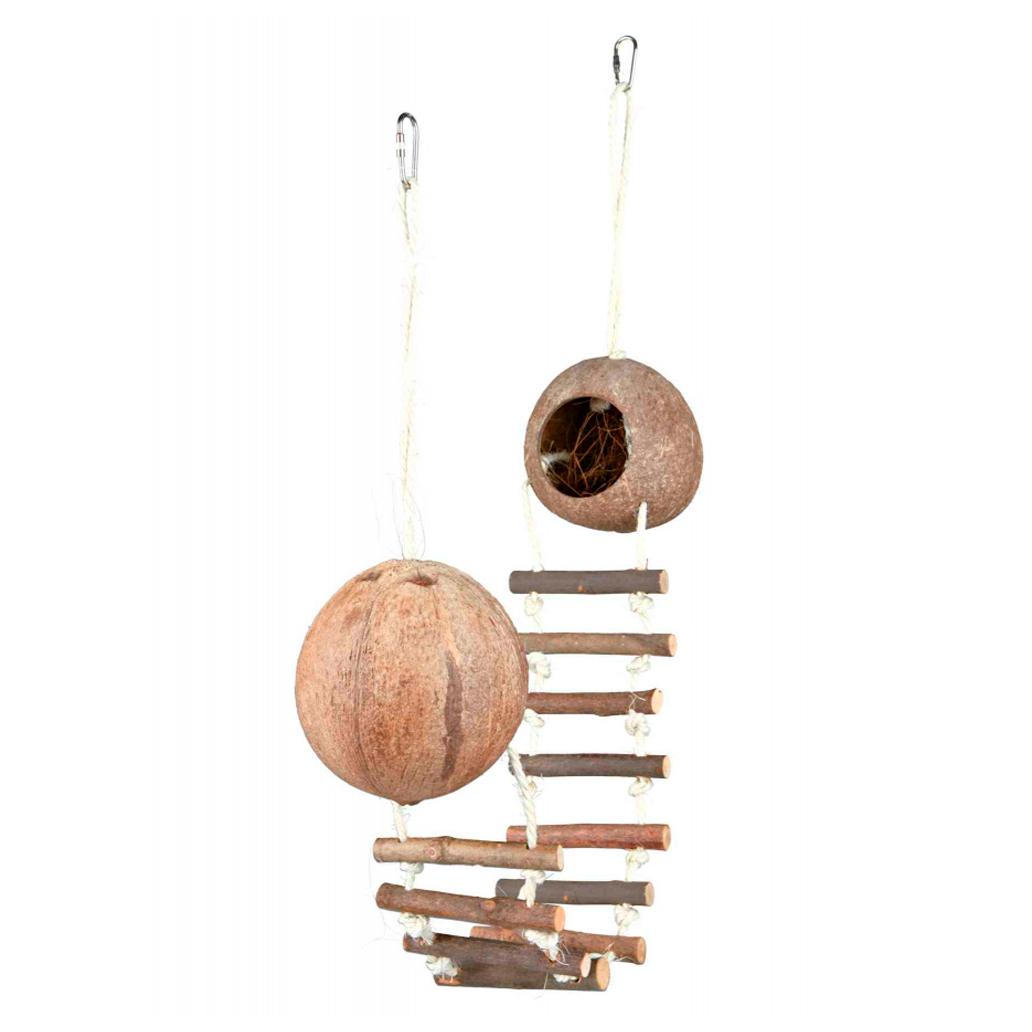 Casa dupla de coco 🥥