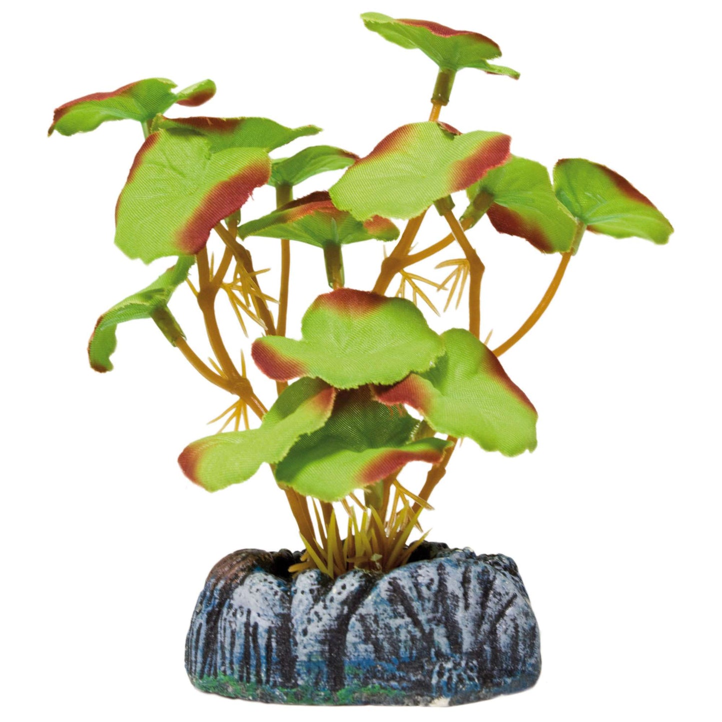 Planta decorativa