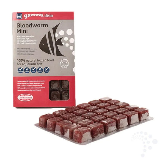 Gamma Concentrated Mini Bloodworm Blister Pack 100g