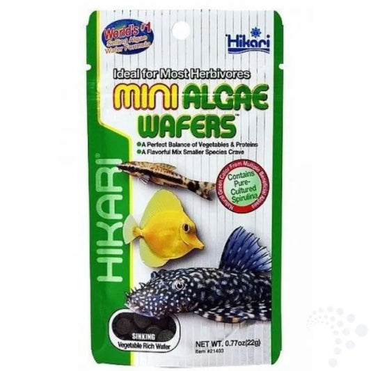 Hikari Mini Algae Wafers