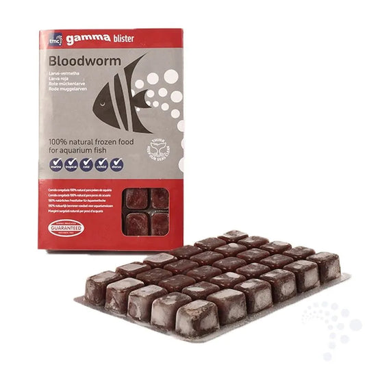 Gamma Concentrated Bloodworm Blister Pack 100g