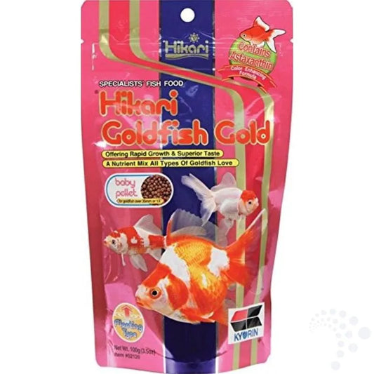 Hikari goldfish goldbaby