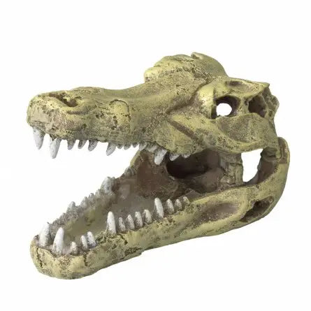 Crocodile head s- decoração aquario crocodilo