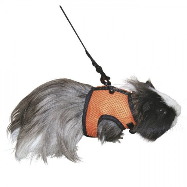 Arnês para Roedores 🐰