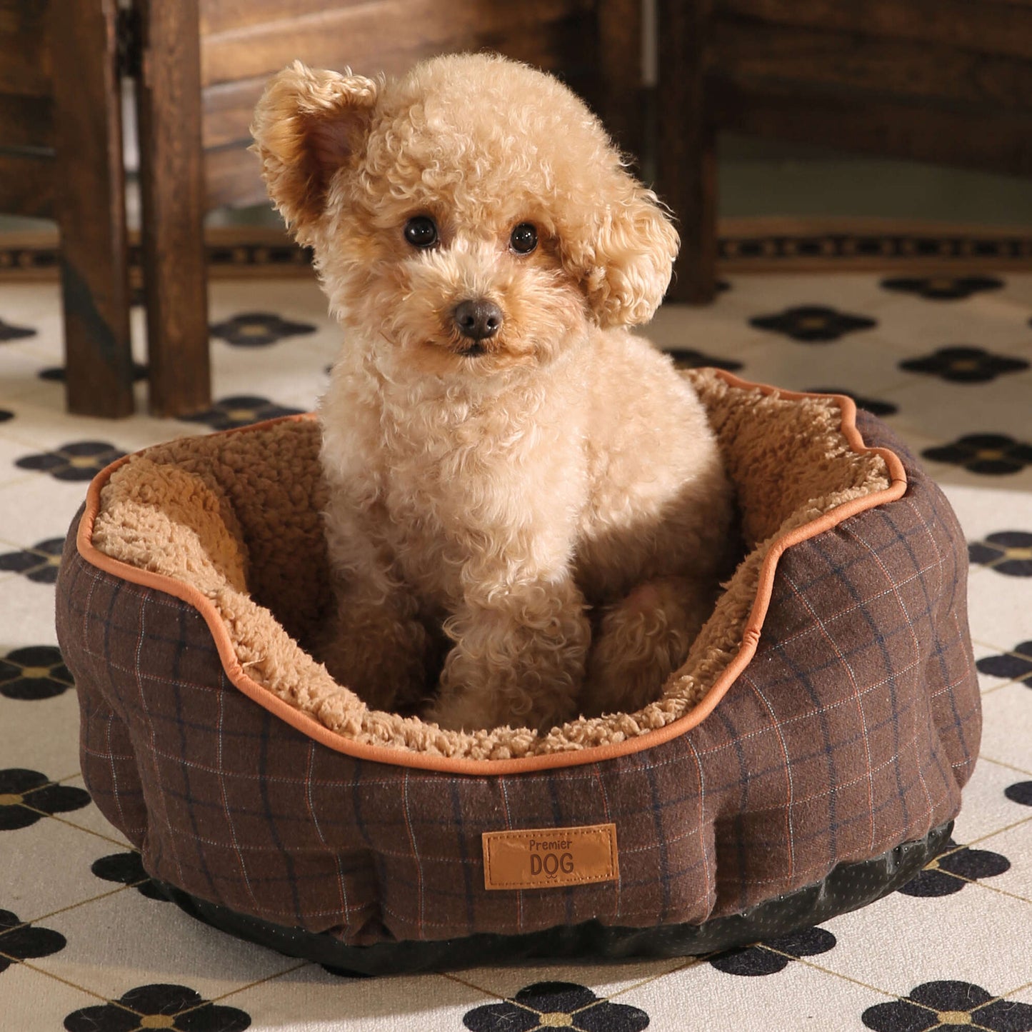 Cama para cães Elegance Premier 🐶✨