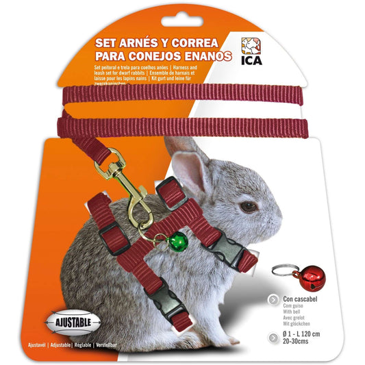Conjunto de coleira e guia para coelhos anões 🐰