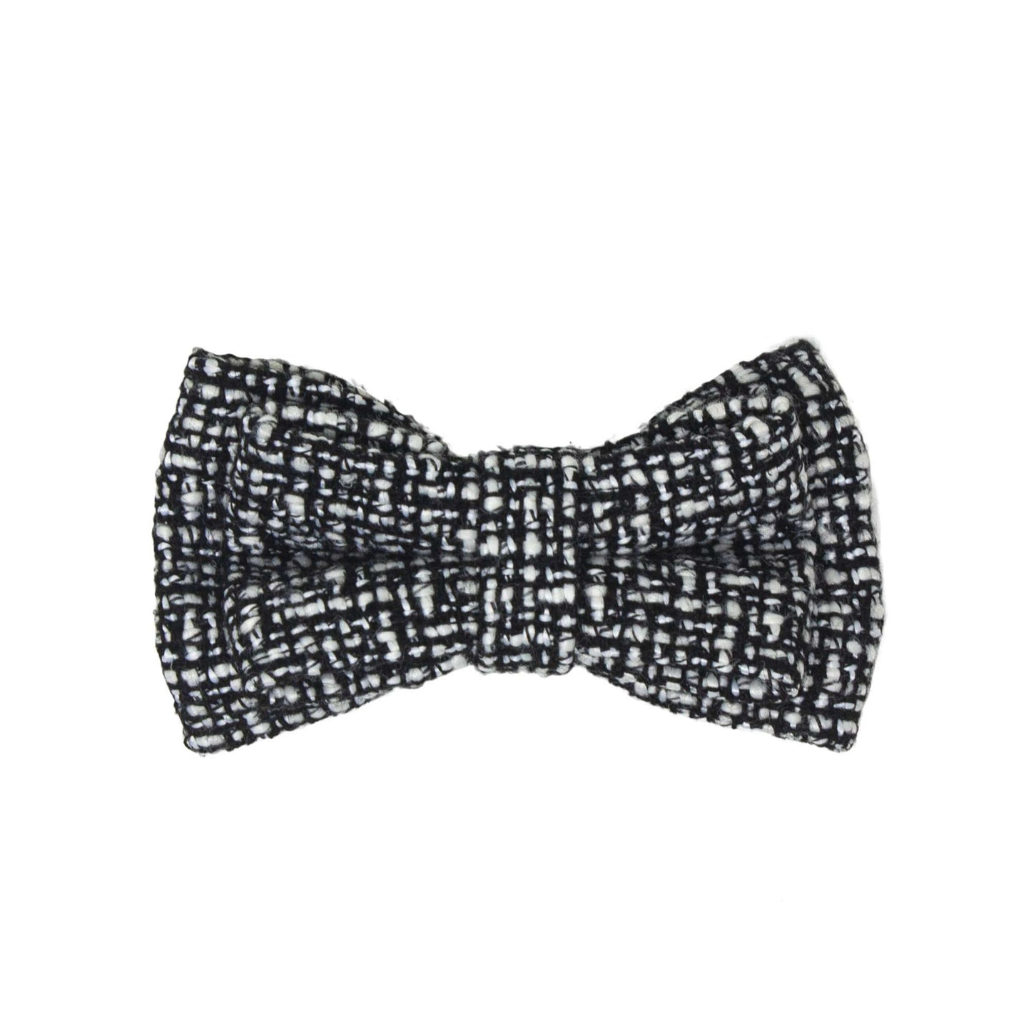 Coleira com Laço XT-DOG 🐶