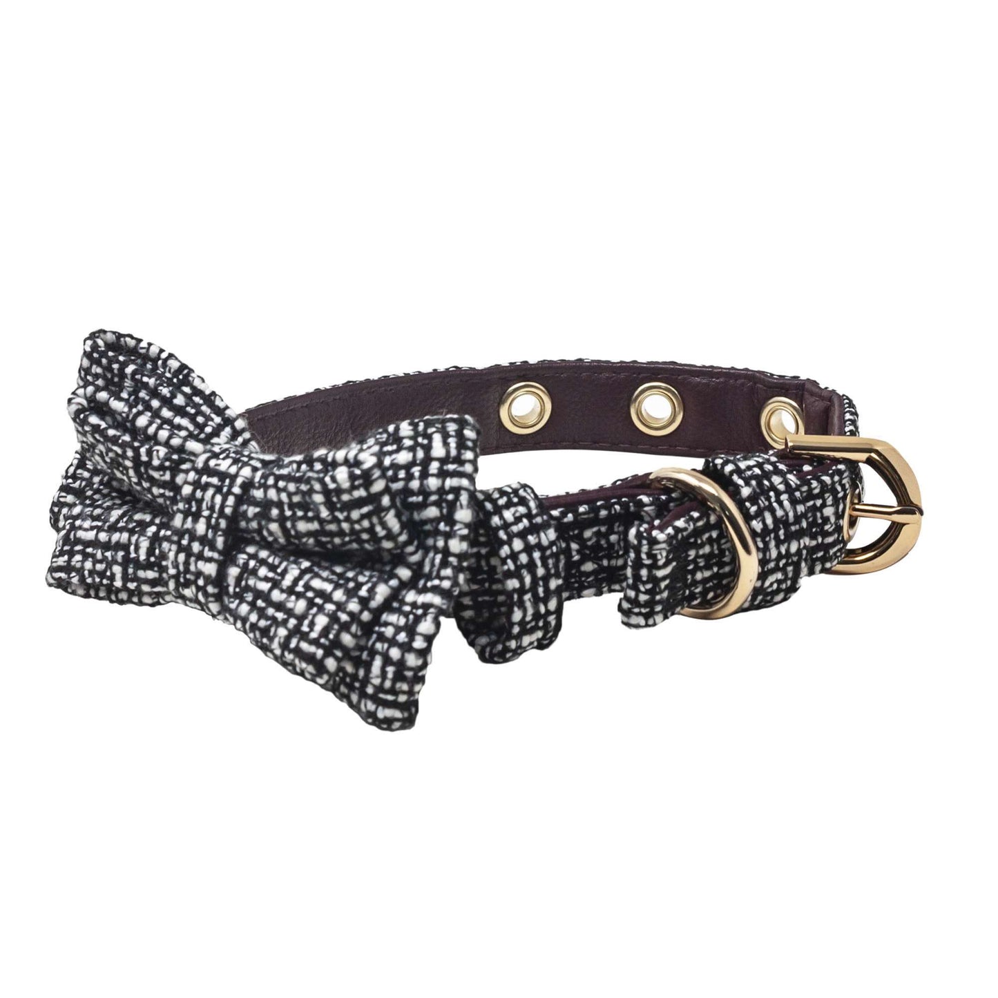 Coleira com Laço XT-DOG 🐶