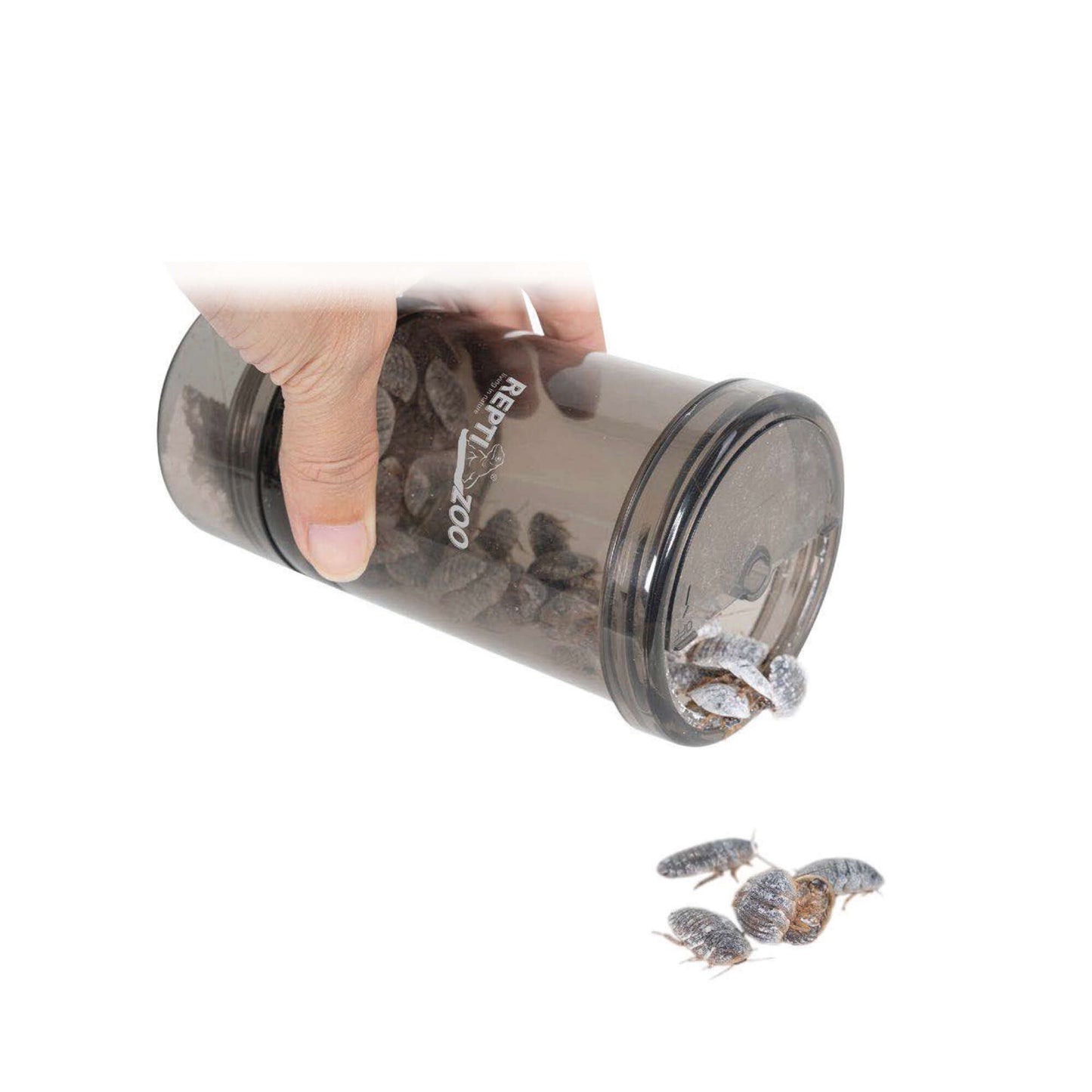 Misturador de pó mineral e insetos 🦗