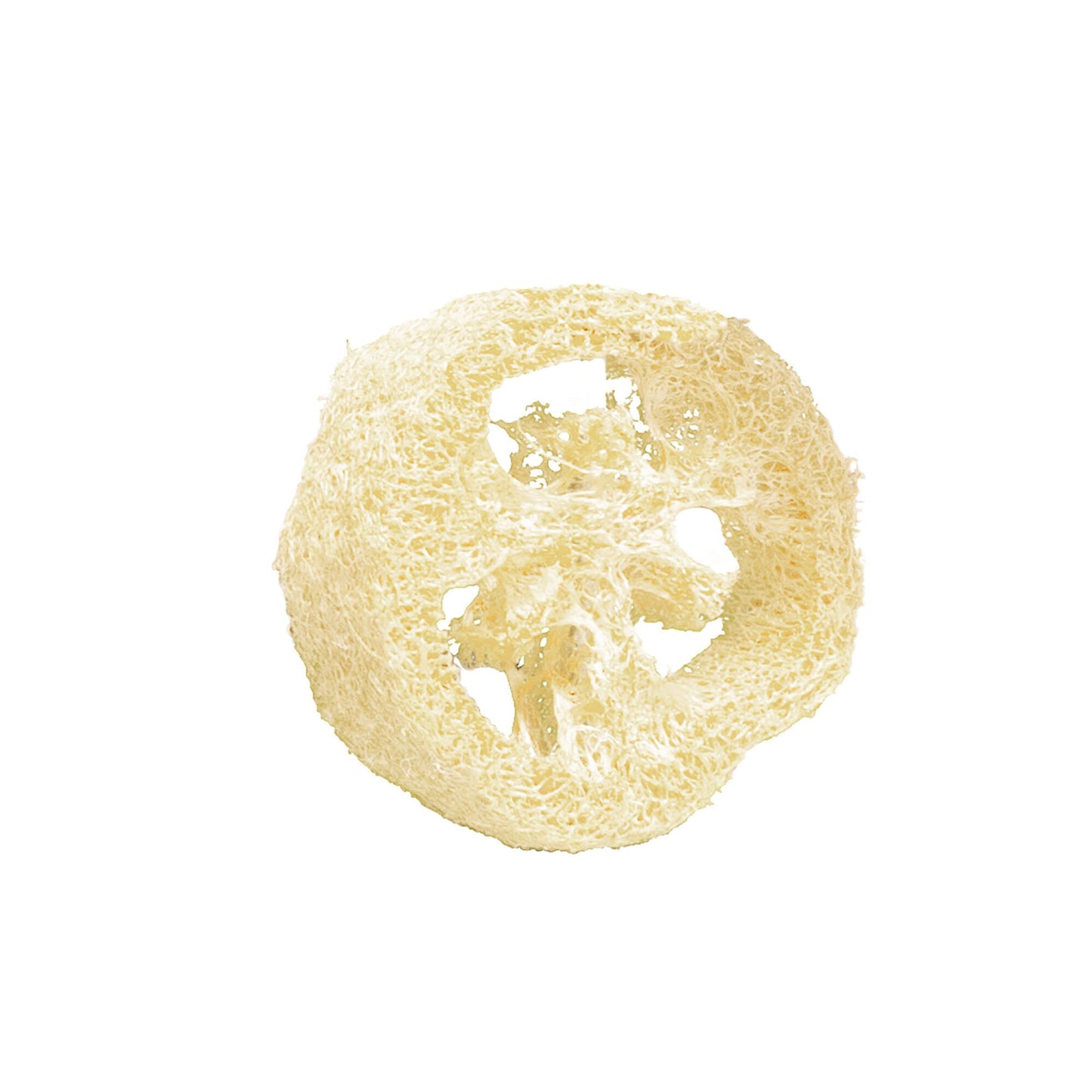 Brinquedo LUFA para Roedores 🐭