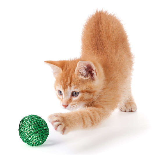 Brinquedo Premier CAT Bolas de Corda Brilhantes ✨ 🐱