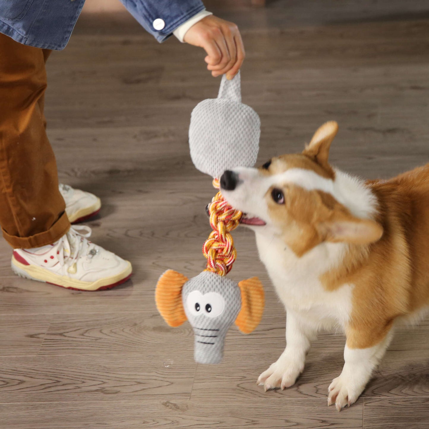 Brinquedo Elefante Premier DOG 🐘