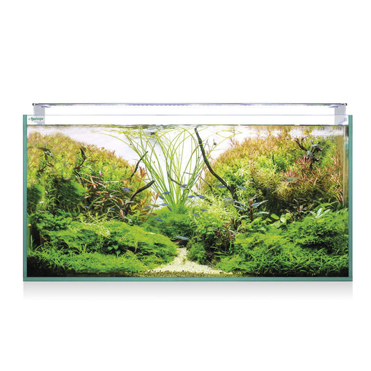 Kit Aquascape RGB pro Extra-clear (226L) 🌱