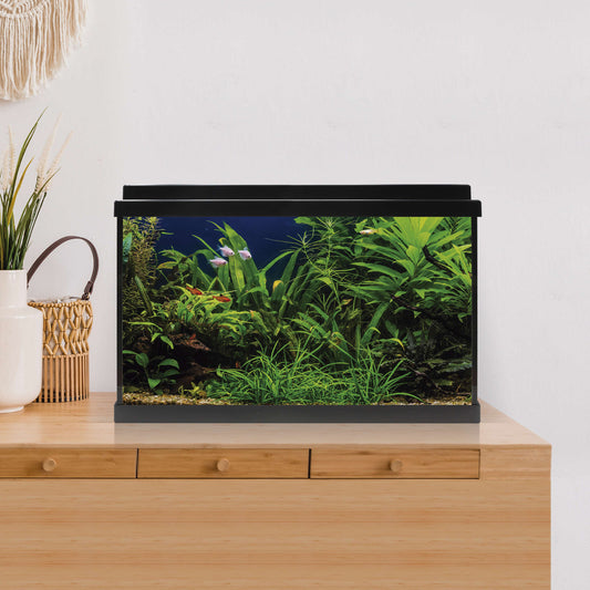 Aquário Kit AQUA LED 64L Preto 🐠