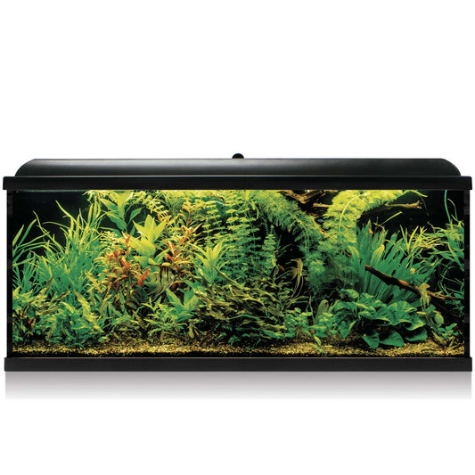 Kit AQUA LED PRO 240 preto com filtro exterior