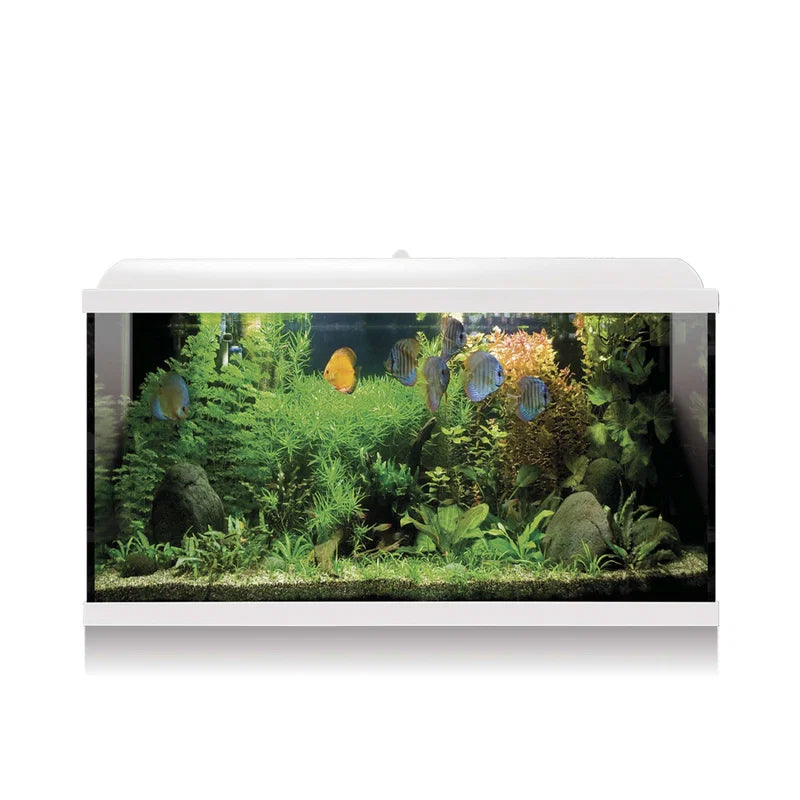 Kit de aquário aqualed pro 100 branco