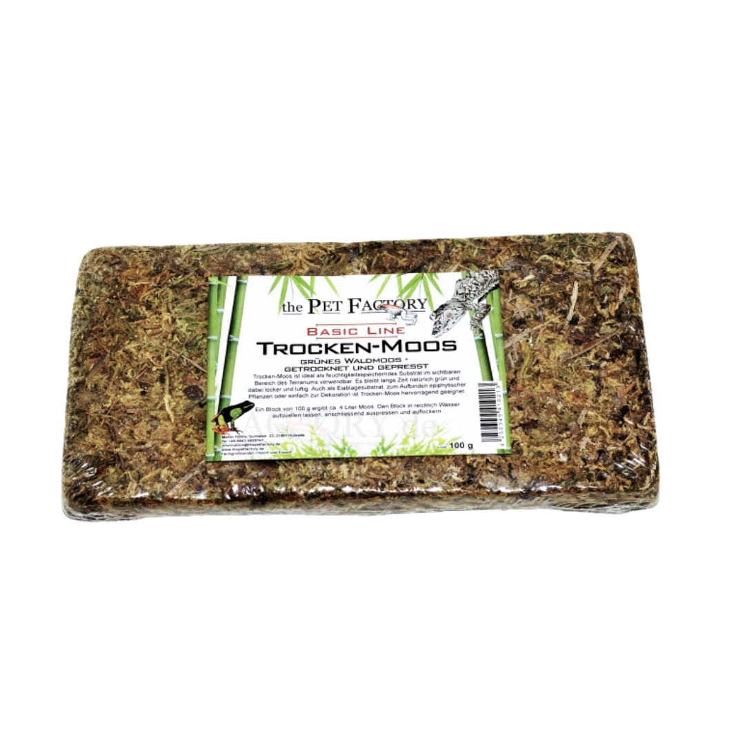 Musgo seco