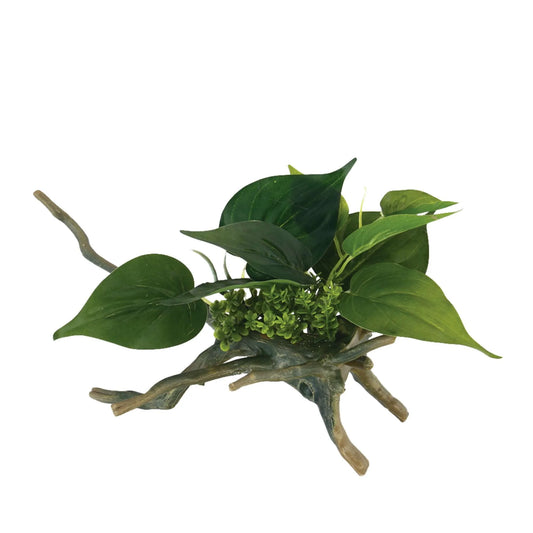 Troncos com plantas
