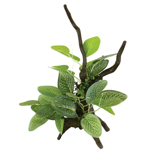 Troncos com plantas
