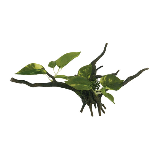 Troncos com plantas