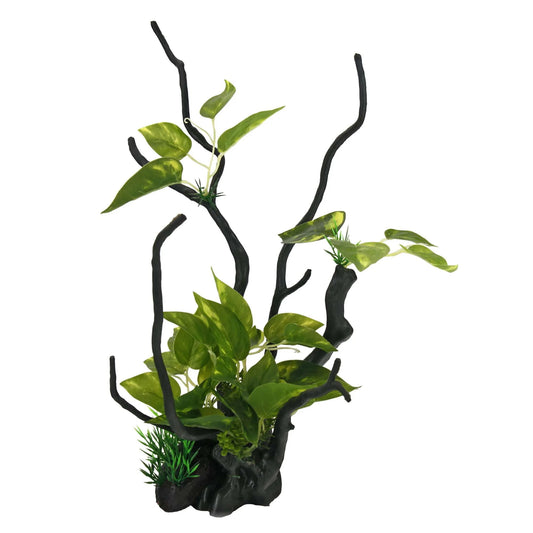 Troncos com plantas