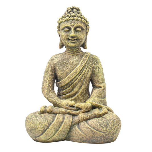 Buda 🧘‍♂️🪷