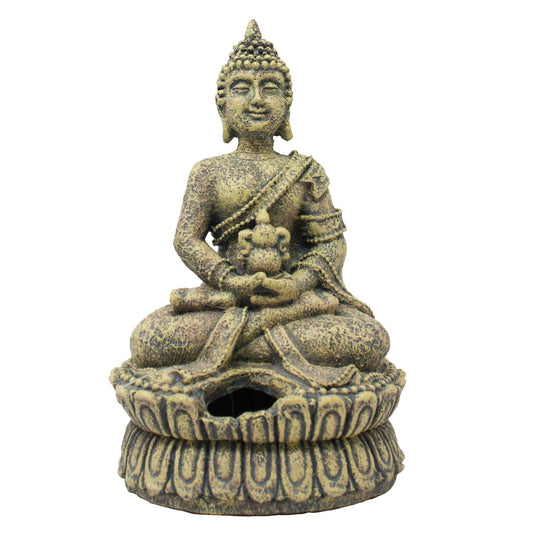Buda com Esconderijo 🧘‍♂️