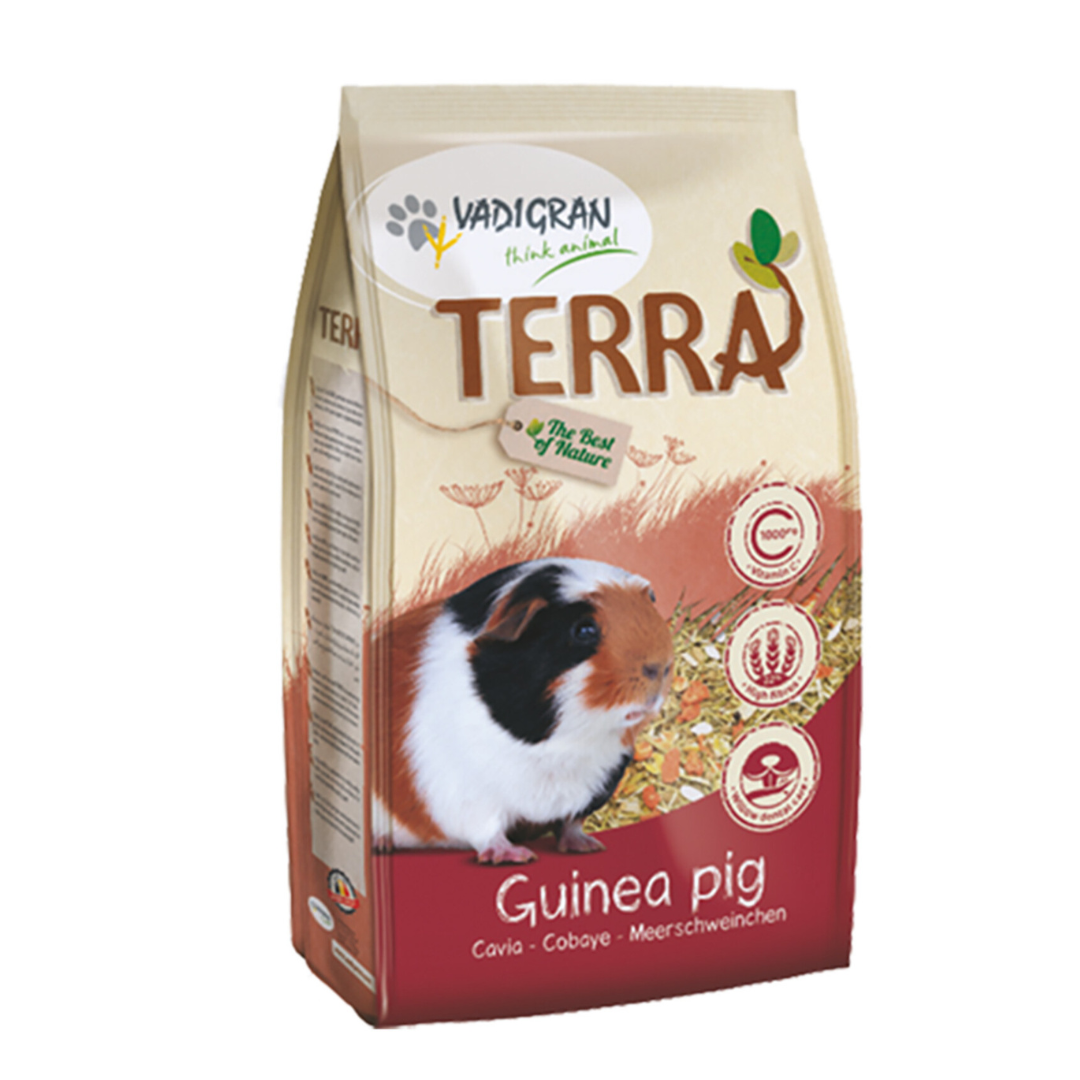Terra - Alimento para Porquinho-da-india