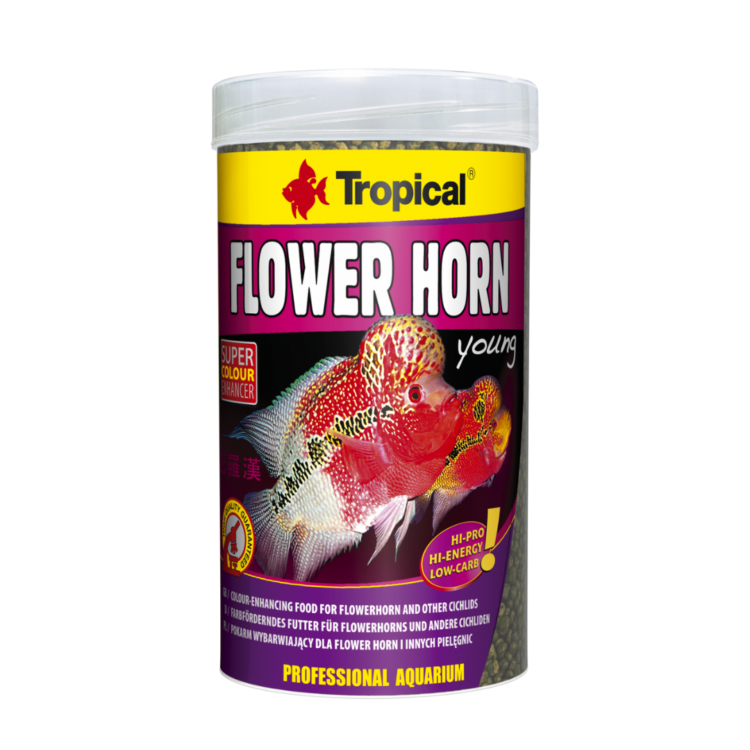 Topical Flower Horn Young Pellet