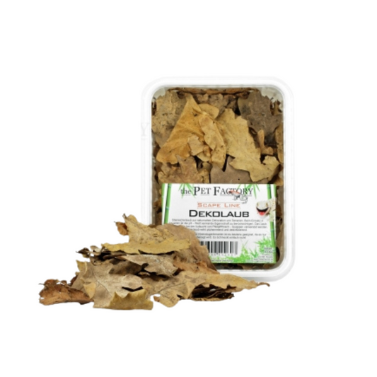 Folhas decorativas 🍂